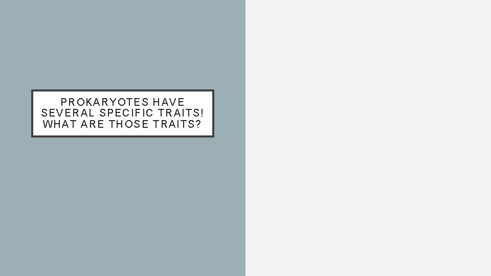 P ROKARYO TES HAV E SE VERA L S PECIFIC TR AITS! W HAT