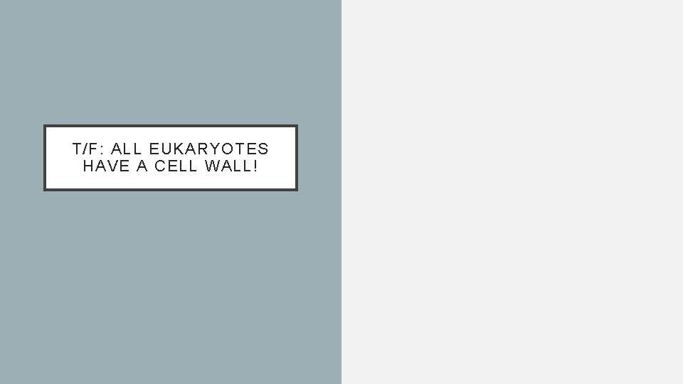 T/F: ALL EUKARYOTES HAVE A CELL WALL! 