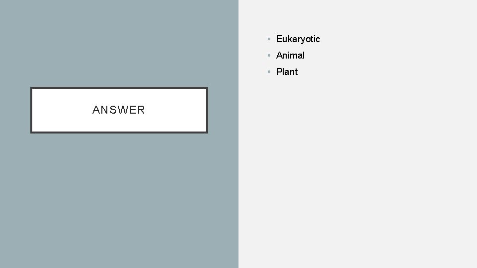  • Eukaryotic • Animal • Plant ANSWER 