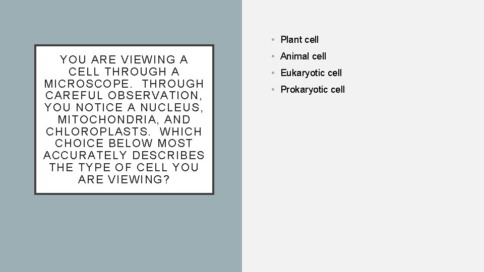  • Plant cell YOU ARE VIEWING A CELL THROUGH A MICROSCOPE. THROUGH CAREFUL