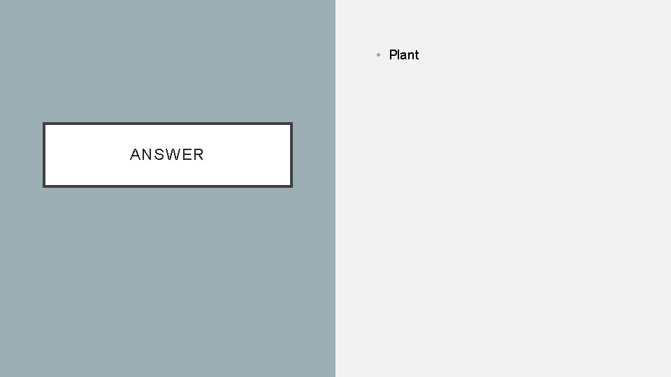  • Plant ANSWER 