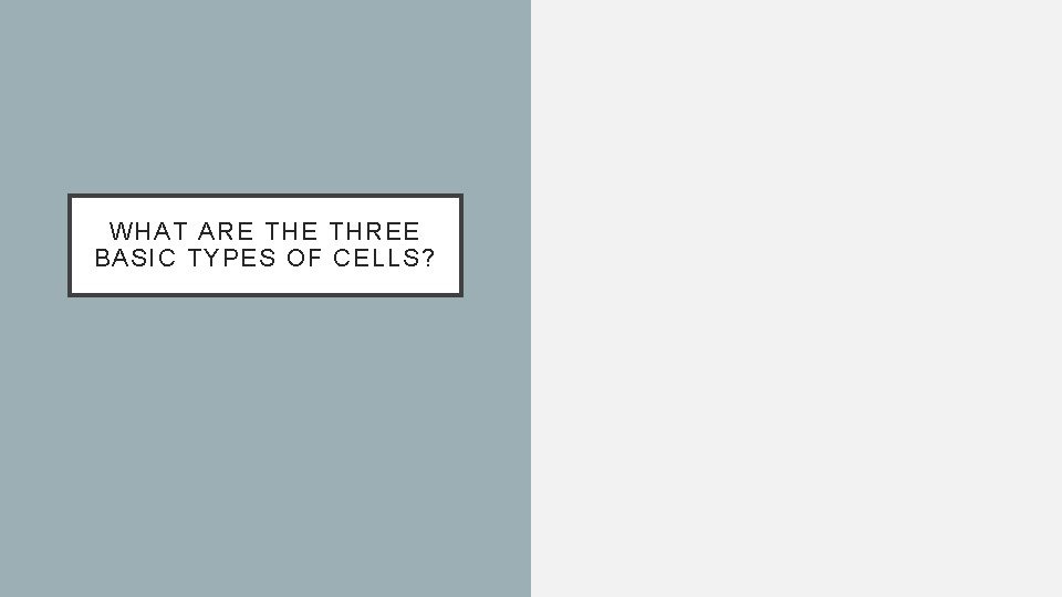WHAT ARE THREE BASIC TYPES OF CELLS? 