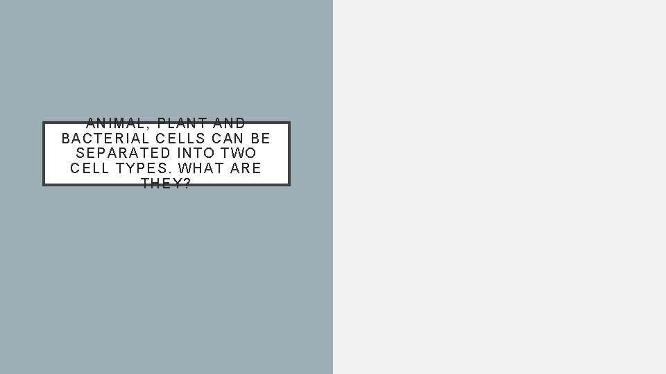 A NIMAL, PLANT AND BA CTERI AL CELLS CA N BE SEPARATED INTO TWO