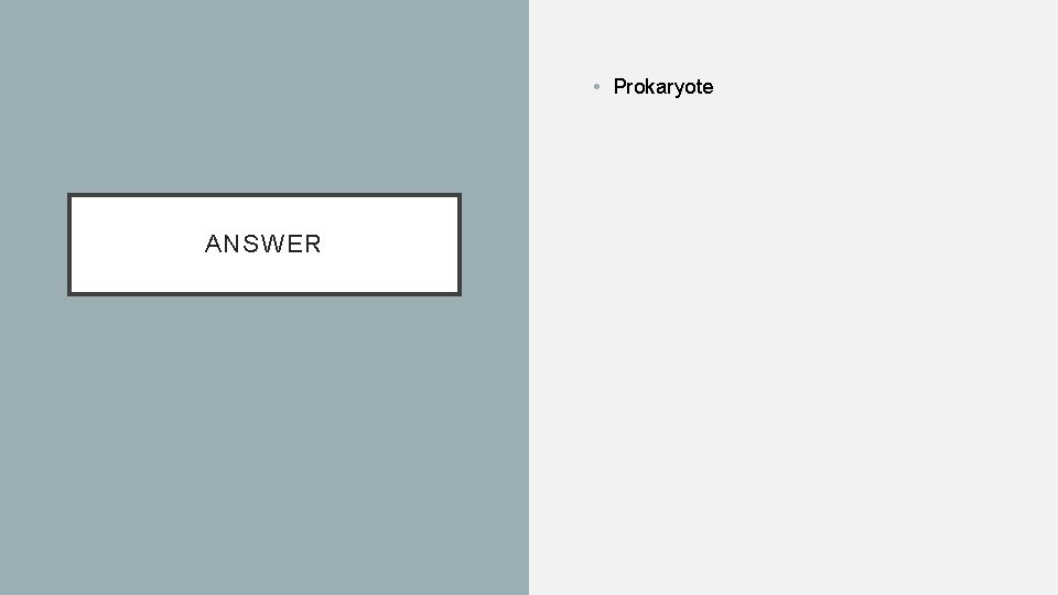  • Prokaryote ANSWER 