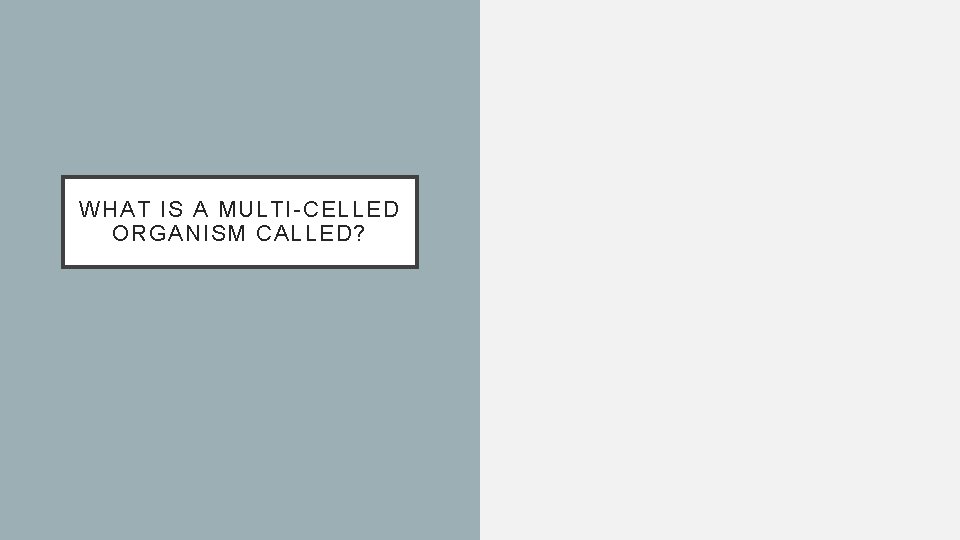 WHAT IS A MULTI-CELLED ORGANISM CALLED? 