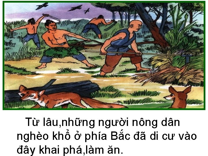 Từ lâu, những người nông dân nghèo khổ ở phía Bắc đã di cư