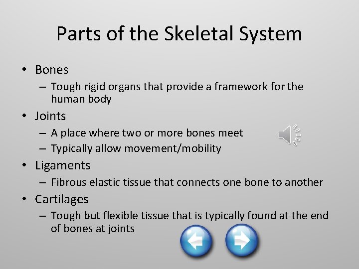 Parts of the Skeletal System • Bones – Tough rigid organs that provide a