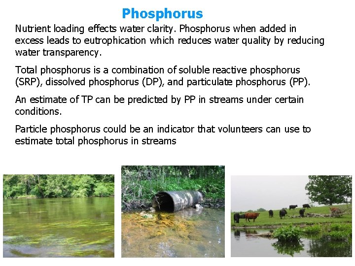 Phosphorus Nutrient loading effects water clarity. Phosphorus when added in excess leads to eutrophication
