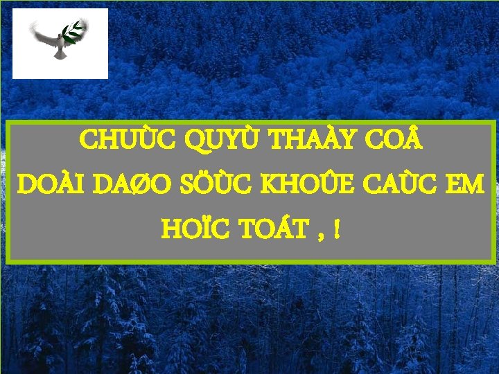 CHUÙC QUYÙ THAÀY CO DOÀI DAØO SÖÙC KHOÛE CAÙC EM HOÏC TOÁT , !