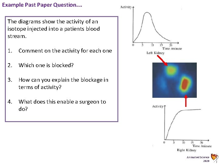 Example Past Paper Question…. The diagrams show the activity of an isotope injected into