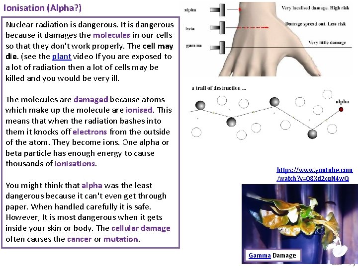 Ionisation (Alpha? ) Nuclear radiation is dangerous. It is dangerous because it damages the