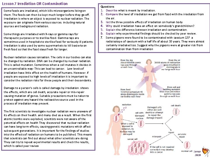 Lesson 7 Irradiation OR Contamination Some foods are irradiated, which kills microorganisms living on
