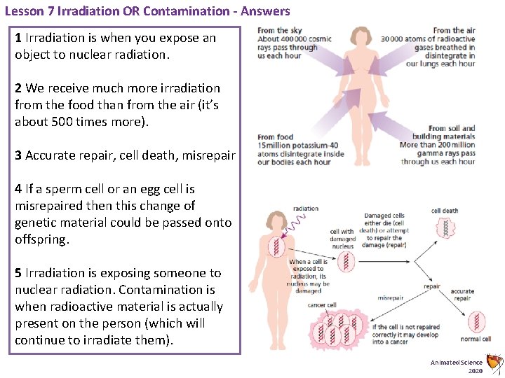 Lesson 7 Irradiation OR Contamination - Answers 1 Irradiation is when you expose an