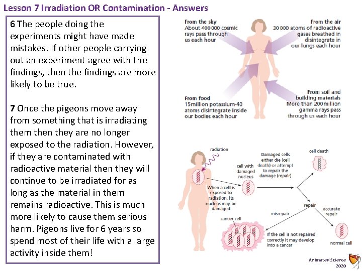 Lesson 7 Irradiation OR Contamination - Answers 6 The people doing the experiments might