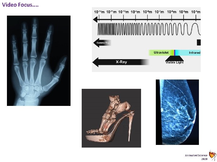 Video Focus. . Animated Science 2020 
