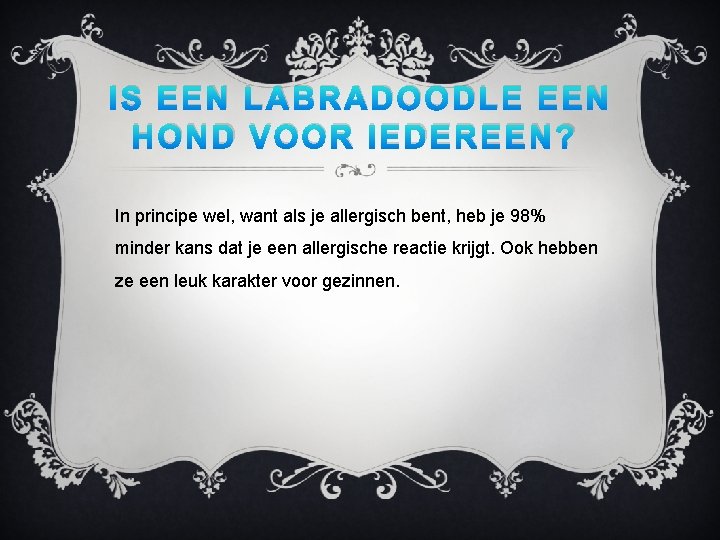 IS EEN LABRADOODLE EEN HOND VOOR IEDEREEN? In principe wel, want als je allergisch