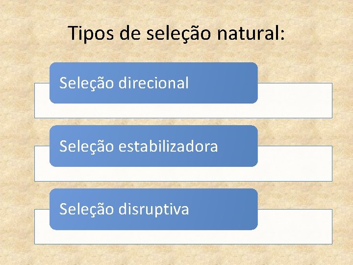 Tipos de seleção natural: Seleção direcional Seleção estabilizadora Seleção disruptiva 