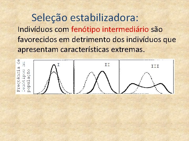 Seleção estabilizadora: Indivíduos com fenótipo intermediário são favorecidos em detrimento dos indivíduos que apresentam