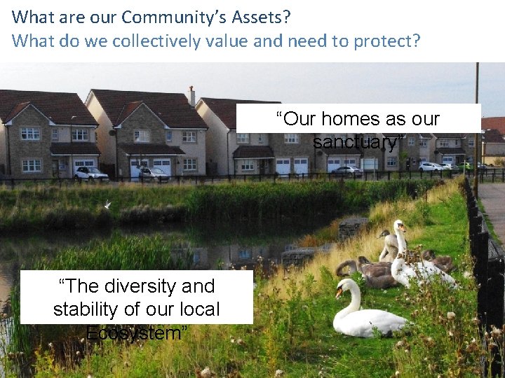 What are our Community’s Assets? What do we collectively value and need to protect?
