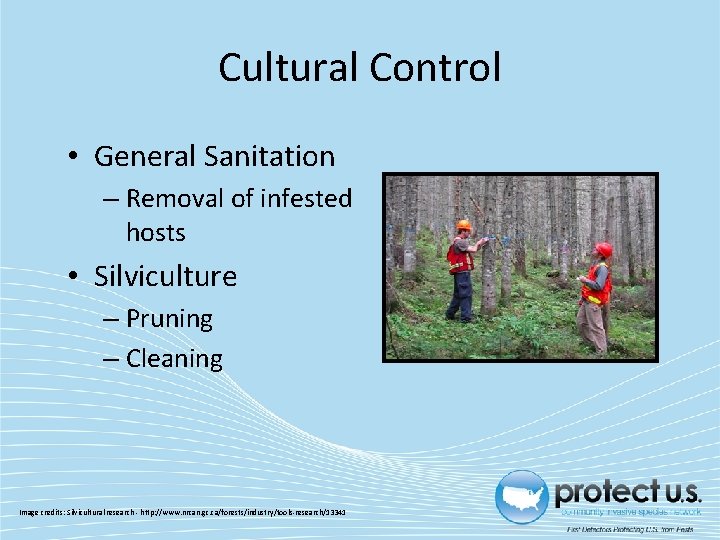 Cultural Control • General Sanitation – Removal of infested hosts • Silviculture – Pruning