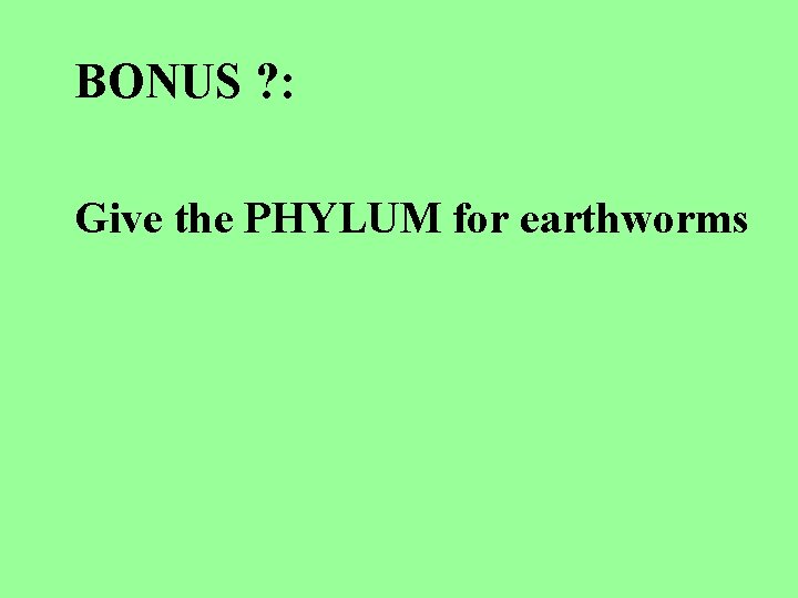 BONUS ? : Give the PHYLUM for earthworms 