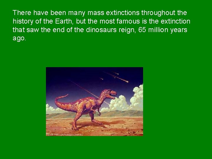 Extinction Theories There have been many mass extinctions