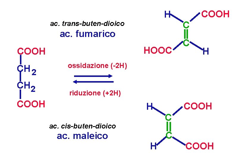 COOH H ac. trans-buten-dioico C ac. fumarico HOOC COOH CH 2 C H ossidazione