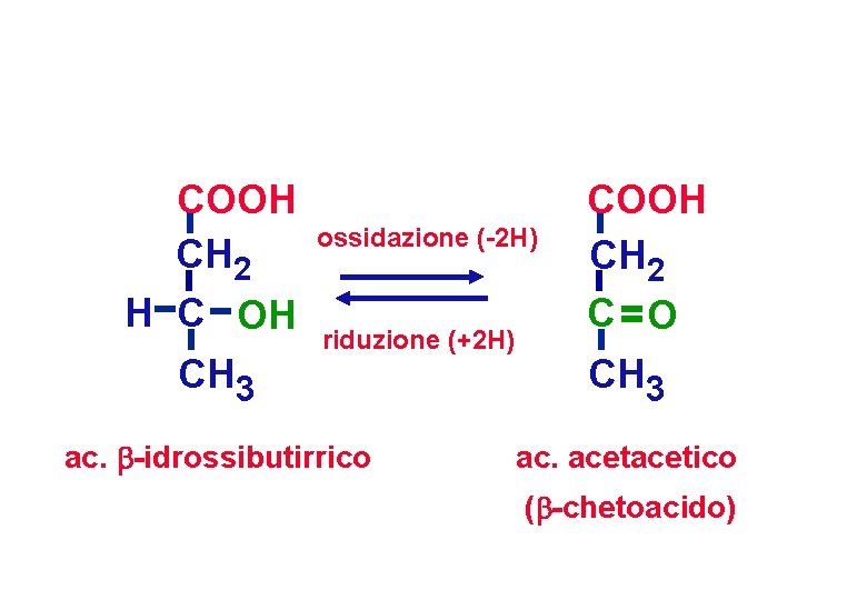 COOH CH 2 H C OH CH 3 ossidazione (-2 H) riduzione (+2 H)