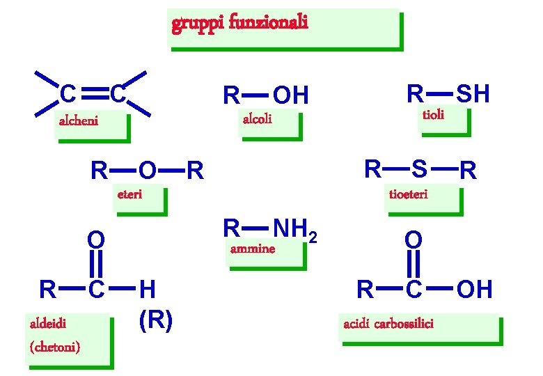 gruppi funzionali C C R O R R eteri R aldeidi (chetoni) C NH