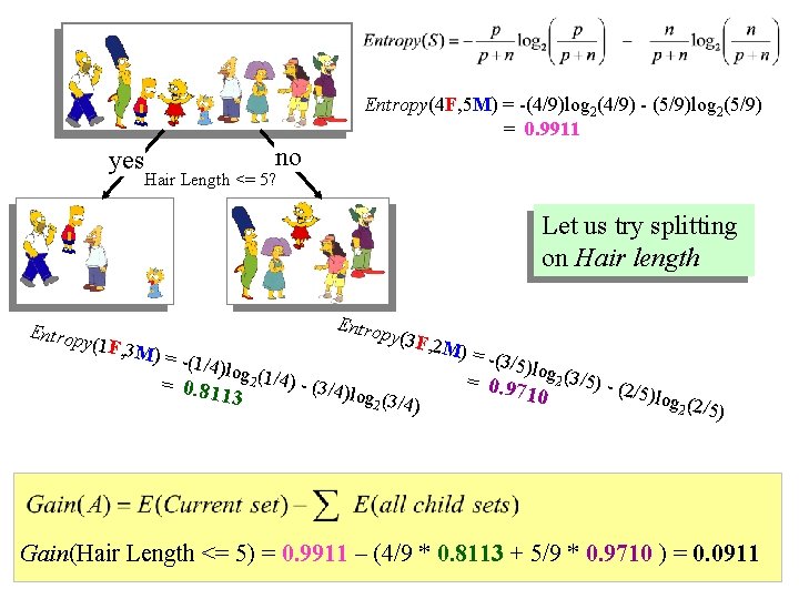 Entropy(4 F, 5 M) = -(4/9)log 2(4/9) - (5/9)log 2(5/9) = 0. 9911 yes