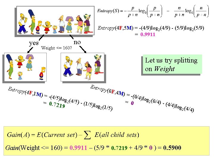 Entropy(4 F, 5 M) = -(4/9)log 2(4/9) - (5/9)log 2(5/9) = 0. 9911 yes