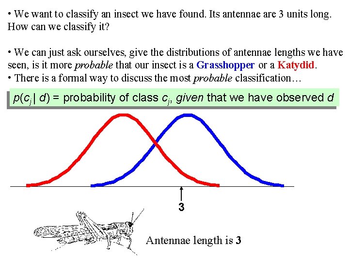  • We want to classify an insect we have found. Its antennae are