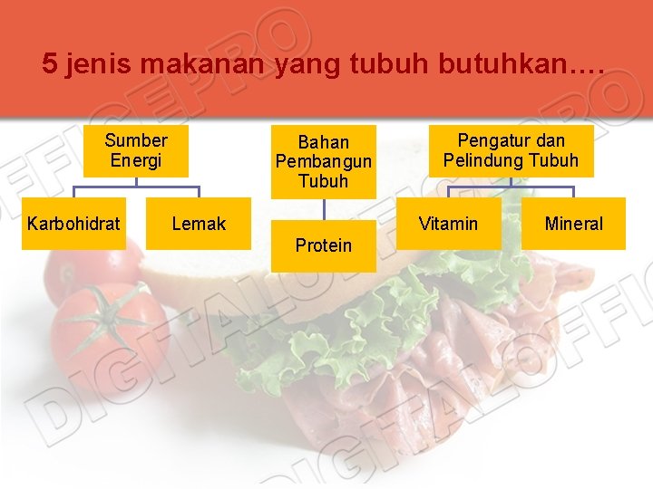 5 jenis makanan yang tubuh butuhkan…. Sumber Energi Karbohidrat Bahan Pembangun Tubuh Lemak Pengatur