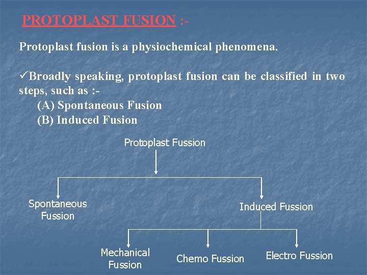 PROTOPLAST FUSION : Protoplast fusion is a physiochemical phenomena. üBroadly speaking, protoplast fusion can