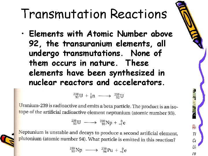 Transmutation Reactions • Elements with Atomic Number above 92, the transuranium elements, all undergo