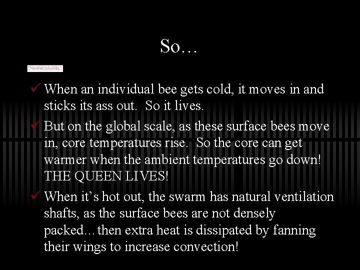 So… ü When an individual bee gets cold, it moves in and sticks its