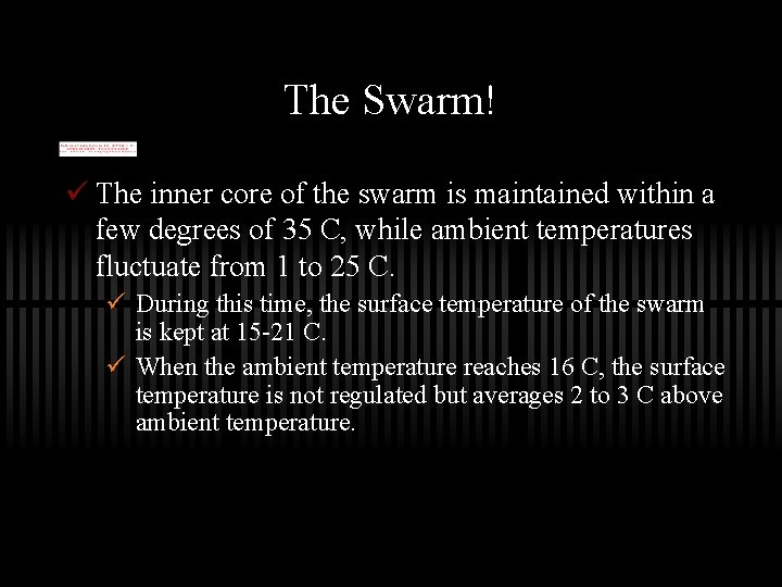 The Swarm! ü The inner core of the swarm is maintained within a few