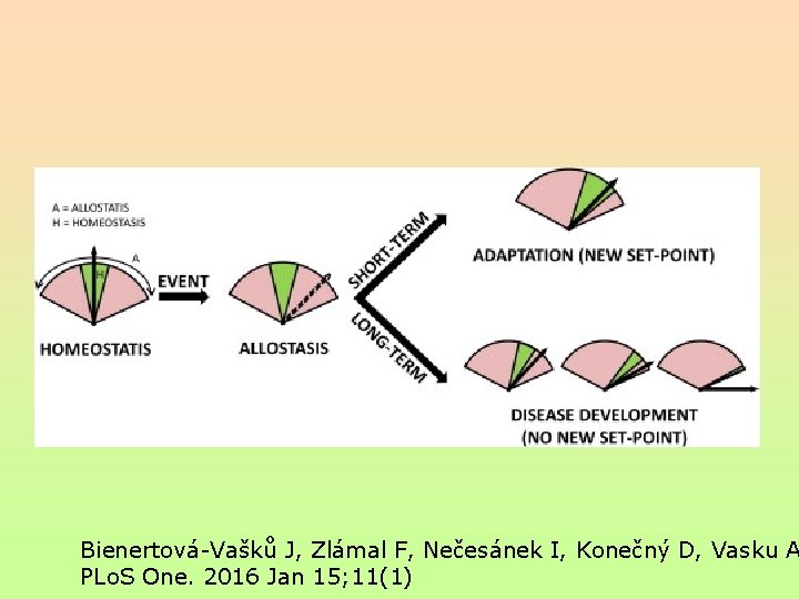 Bienertová-Vašků J, Zlámal F, Nečesánek I, Konečný D, Vasku A PLo. S One. 2016