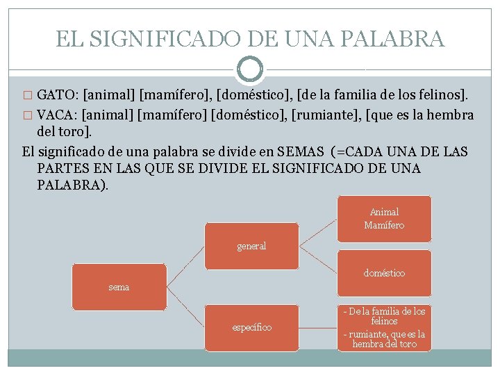 EL SIGNIFICADO DE UNA PALABRA � GATO: [animal] [mamífero], [doméstico], [de la familia de