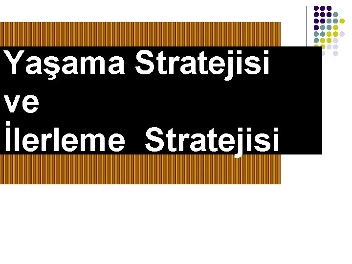 Yaşama Stratejisi ve İlerleme Stratejisi 