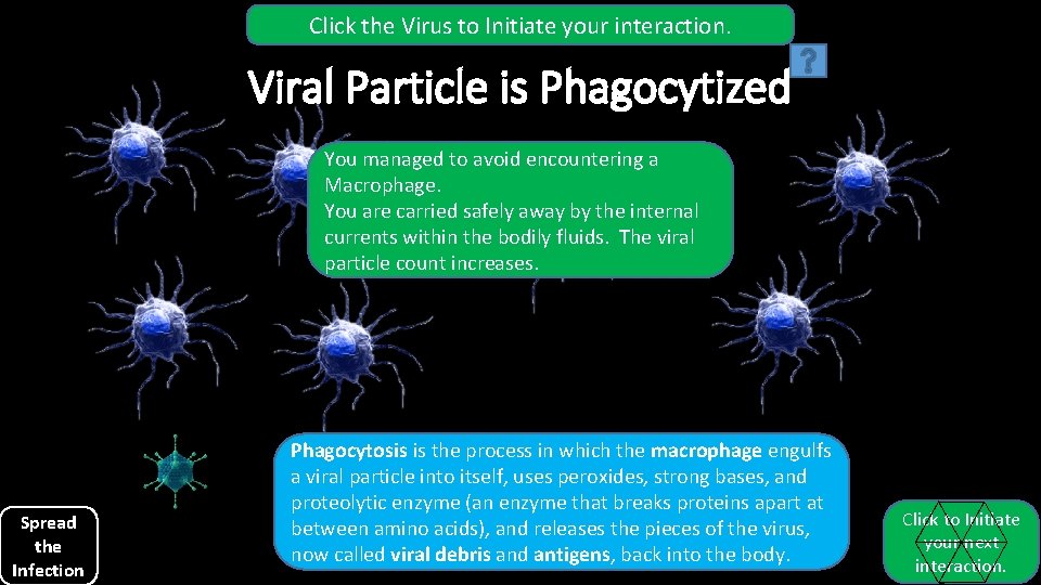 Click the Virus to Initiate your interaction. Viral Particle is Phagocytized You managed to Click the Virus to Initiate your interaction. Viral Particle is Phagocytized You managed to