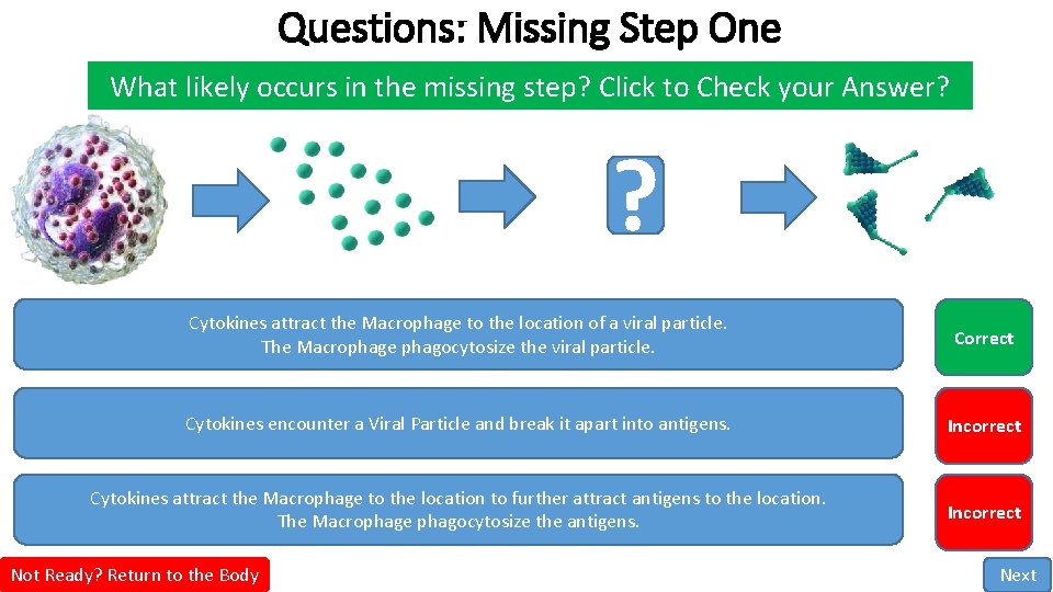 Questions: Missing Step One What likely occurs in the missing step? Click to Check Questions: Missing Step One What likely occurs in the missing step? Click to Check