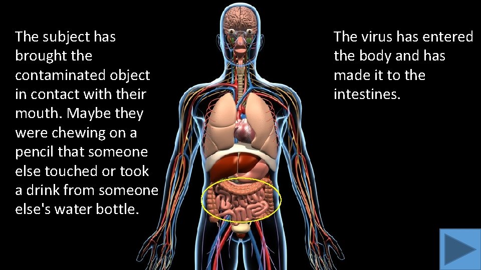 The subject has brought the contaminated object in contact with their mouth. Maybe they The subject has brought the contaminated object in contact with their mouth. Maybe they