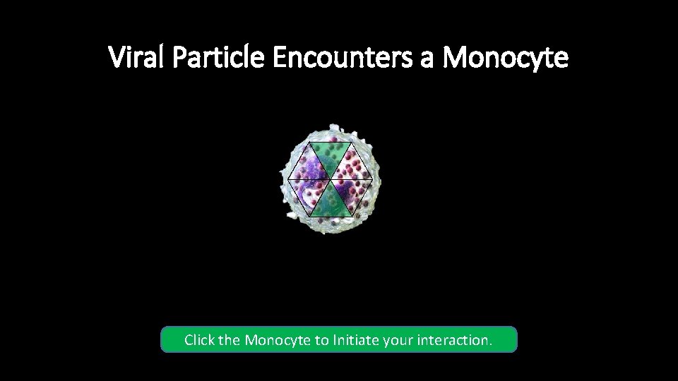 Viral Particle Encounters a Monocyte Click the Monocyte to Initiate your interaction. Viral Particle Encounters a Monocyte Click the Monocyte to Initiate your interaction.