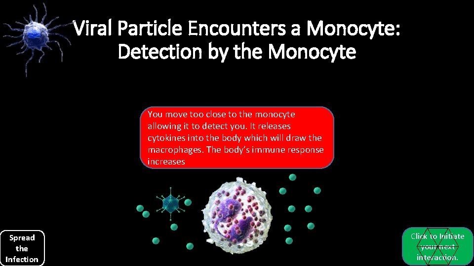 Viral Particle Encounters a Monocyte: Detection by the Monocyte You move too close to Viral Particle Encounters a Monocyte: Detection by the Monocyte You move too close to