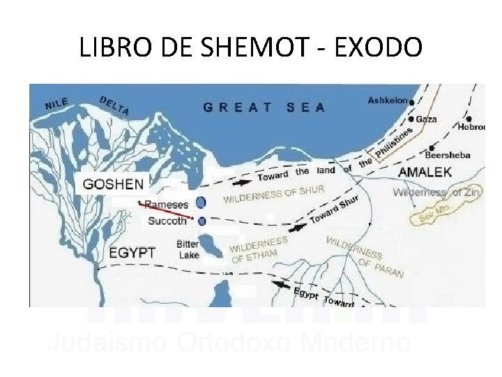 LIBRO DE SHEMOT - EXODO 