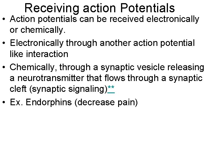 Receiving action Potentials • Action potentials can be received electronically or chemically. • Electronically