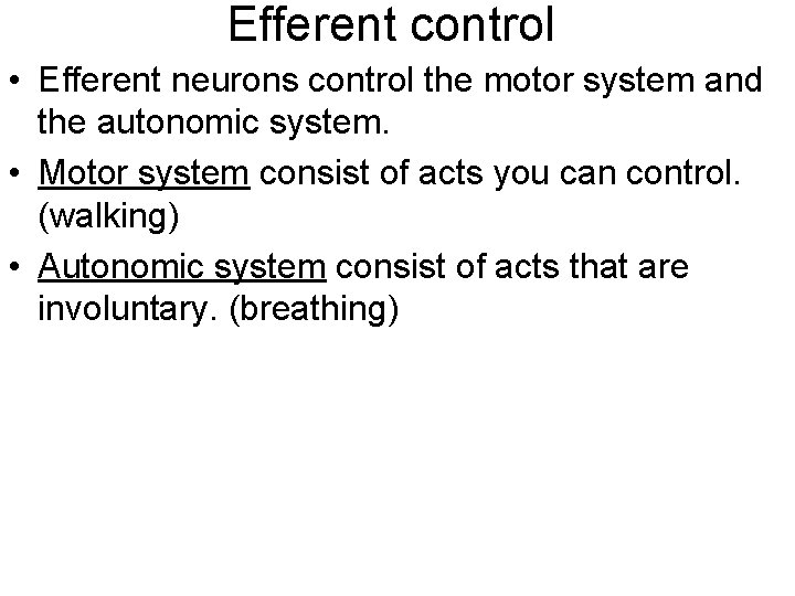Efferent control • Efferent neurons control the motor system and the autonomic system. •