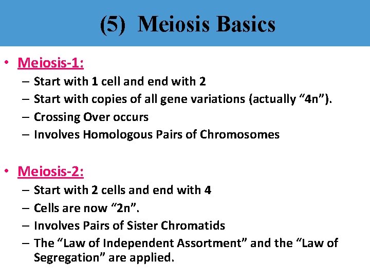 (5) Meiosis Basics • Meiosis-1: – Start with 1 cell and end with 2