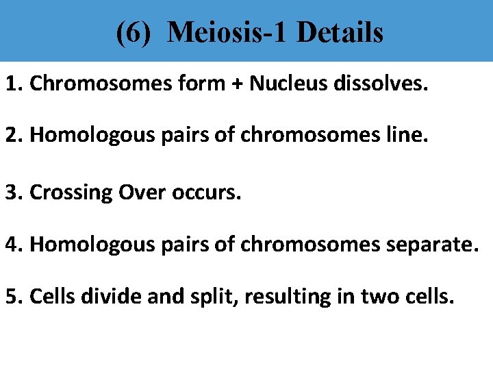 (6) Meiosis-1 Details 1. Chromosomes form + Nucleus dissolves. 2. Homologous pairs of chromosomes